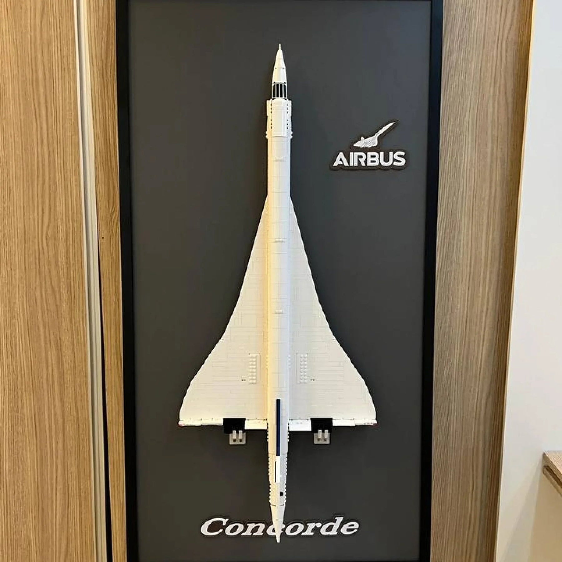 Quadro de Fibra de Carbono - Concorde